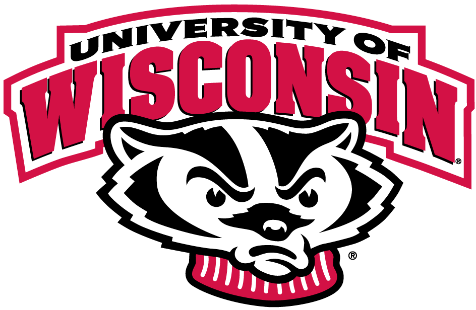 Wisconsin Badgers 2002-Pres Secondary Logo iron on paper